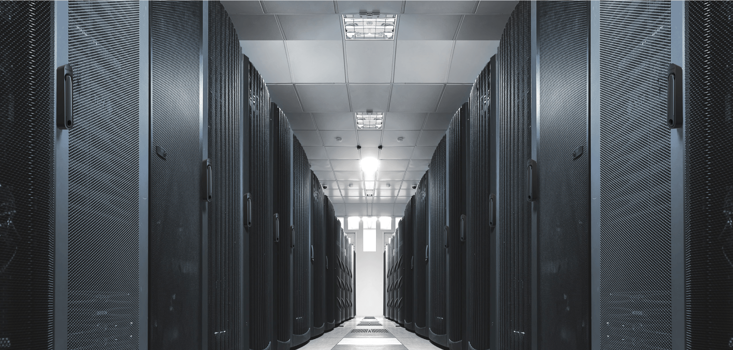 Lines of servers in a data center