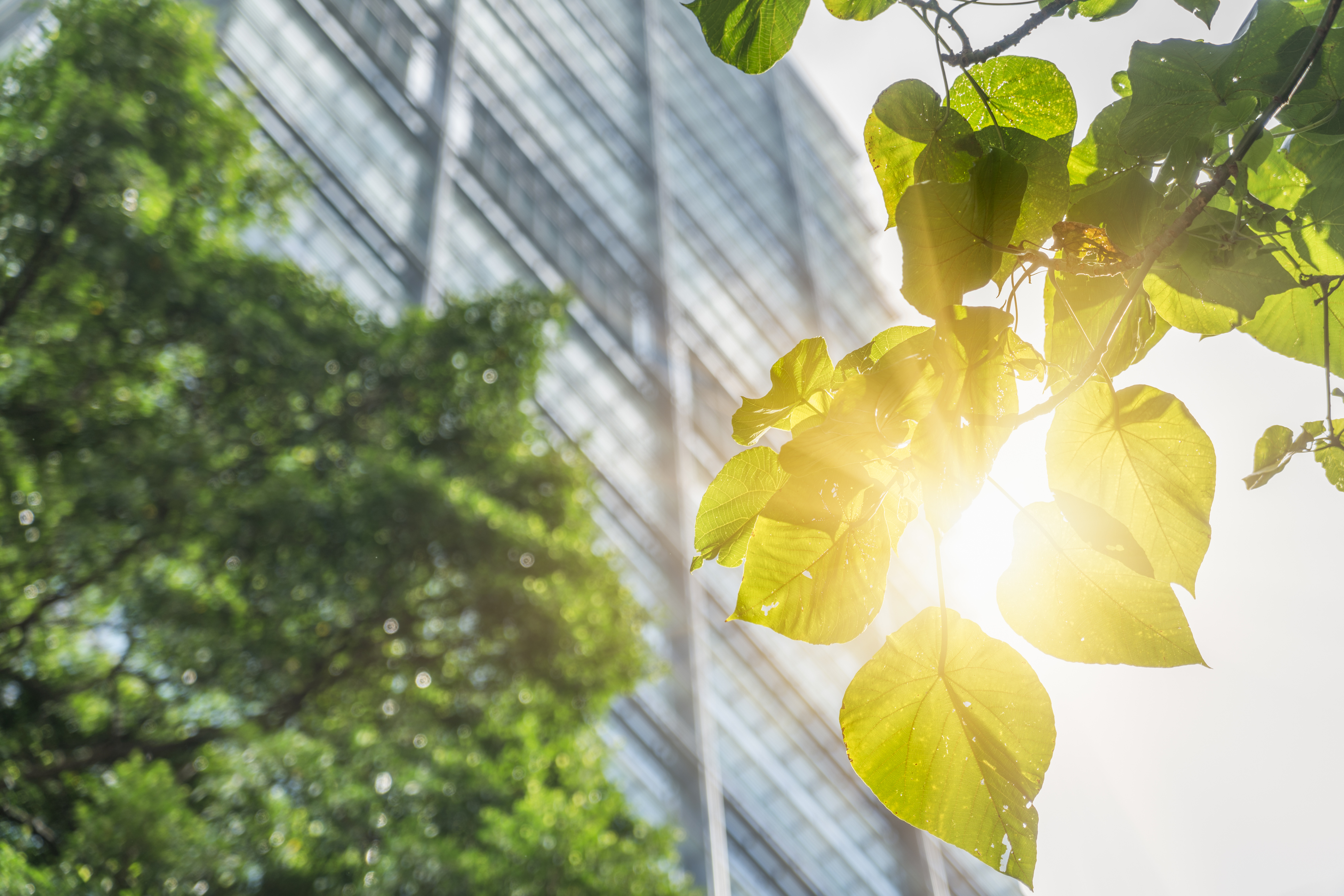 InVue sustainability page header image